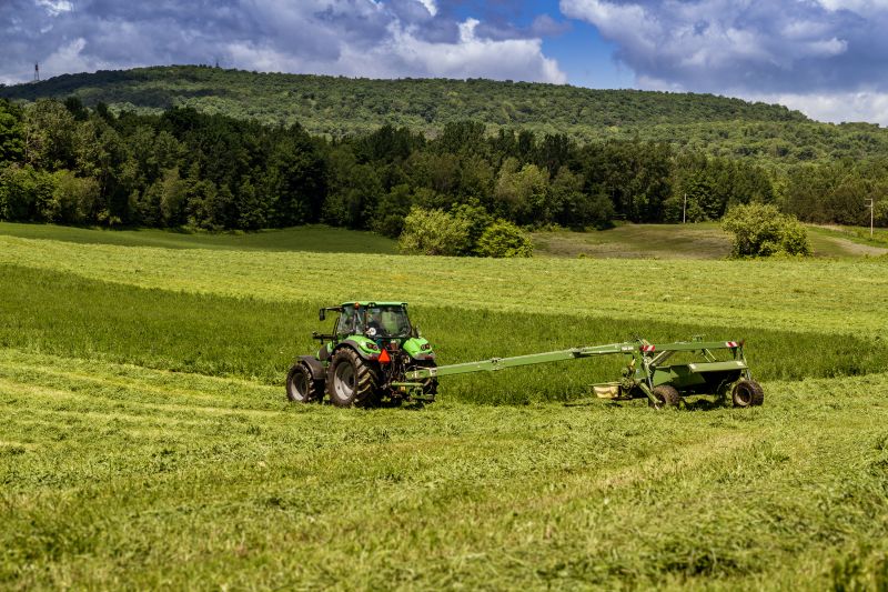 Brush Mowing Service in Duluth, MN