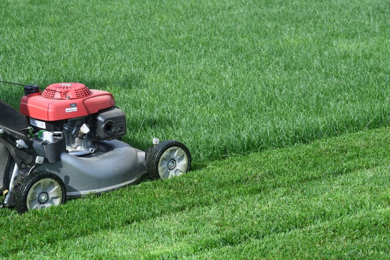 Brush Mowing Service in Calvert County, MD