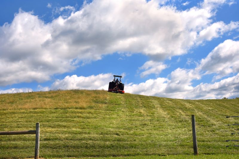 Clearing Overgrown Fields
