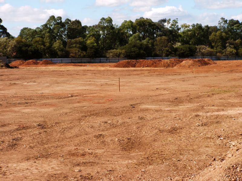 Finished Land Clearing