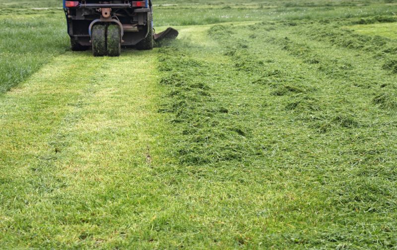 Field Mowing in Duluth, MN