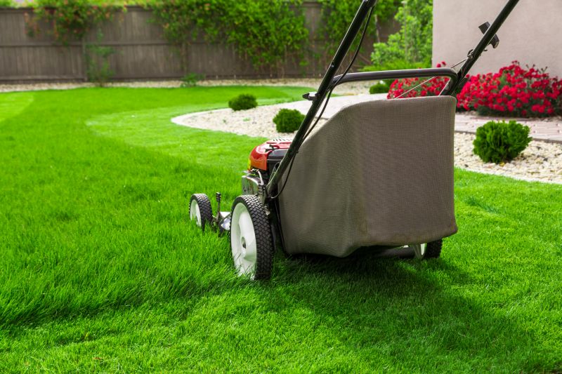 Overgrown Lawn Trimming in Bowie, MD