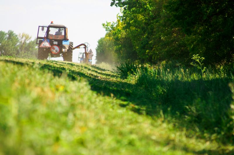 Pasture Mowing in Duluth, MN
