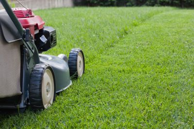 Routine Lawn Maintenance in Bowie, MD