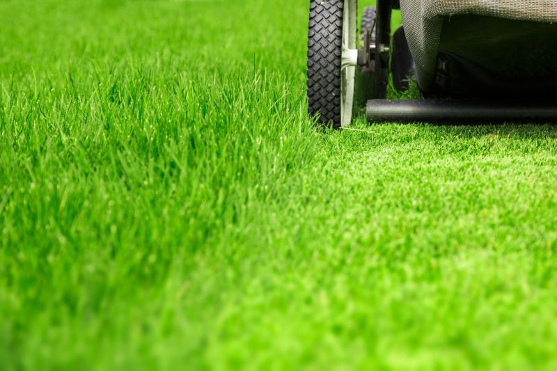 Tall Grass Cutting in Bowie, MD