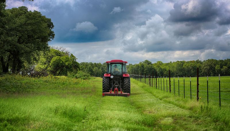 Clears Overgrown Land
