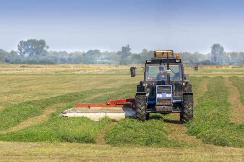 Pasture Mowing
