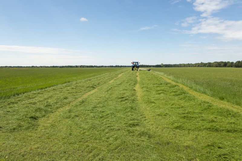 Prevents Overgrowth of Weeds and Pests